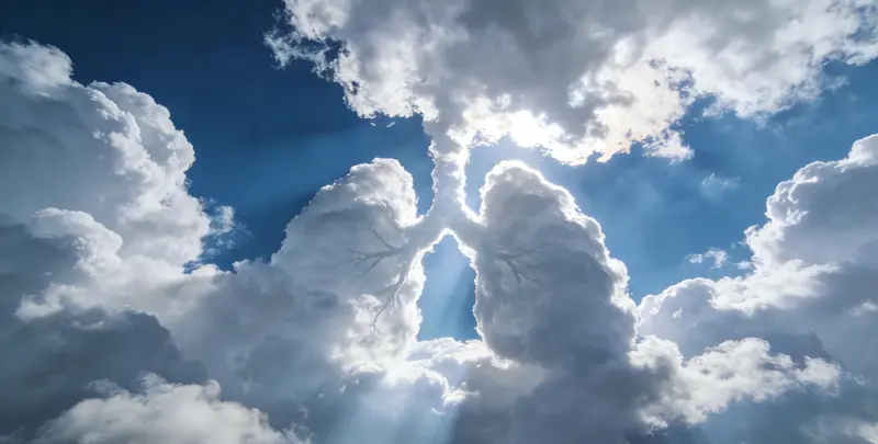 安庆肺癌12基因ctDNA突变检测(血液）图片1